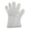 Disposable Gloves, X-Large, Pack Of 100